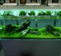 Quality Rimless Aquarium