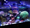 Oceanic Rimless Aquarium