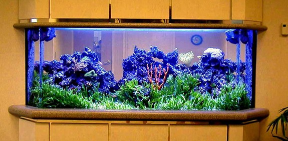 200 Gallon Home Aquarium