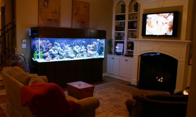 200 Gallon Aquarium Sump