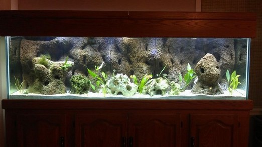 200 Gallon Long Aquarium