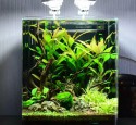 Best Rimless Nano Aquarium