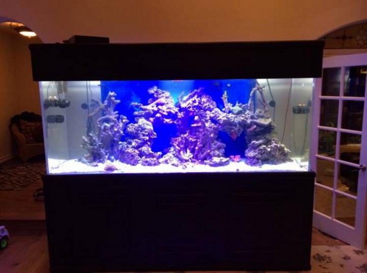200 Gallon Aquarium Chiller