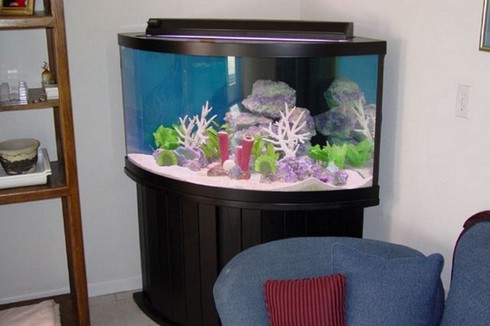 300 Gallon Oceanic Aquarium