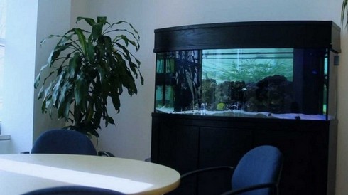 300 Gallon Bow Front Aquarium