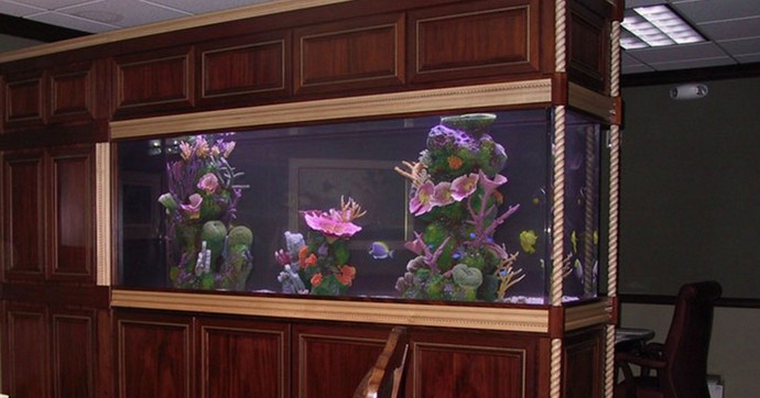 300 Gallon Round Aquarium
