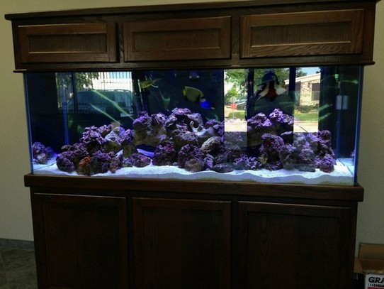 200 Gallon Aquarium With Stand