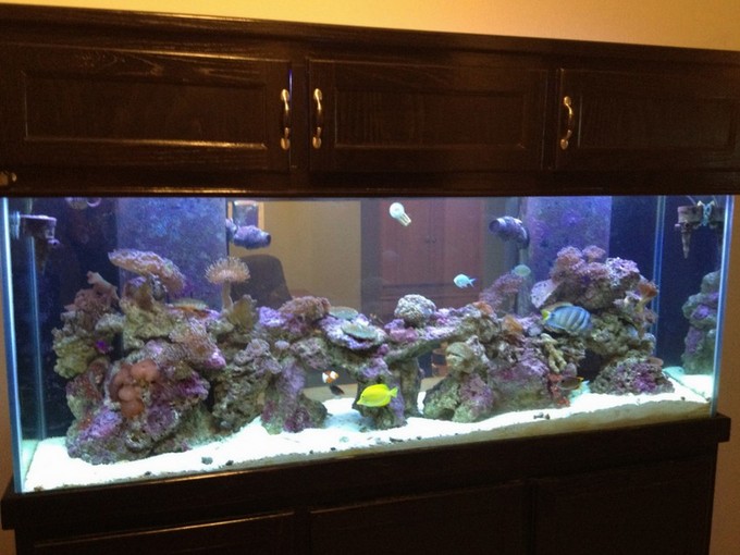 200 Gallon Aquarium Stand