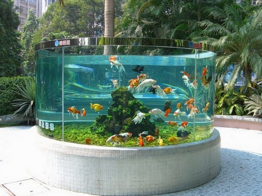 200 Gallon Goldfish Aquarium