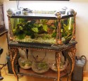 Antique Rimless Aquarium