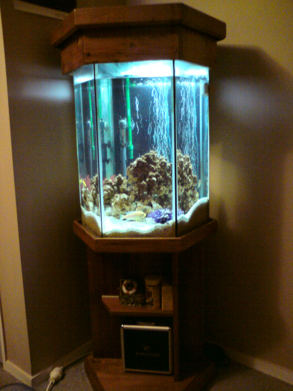 200 Gallon Hexagon Aquarium