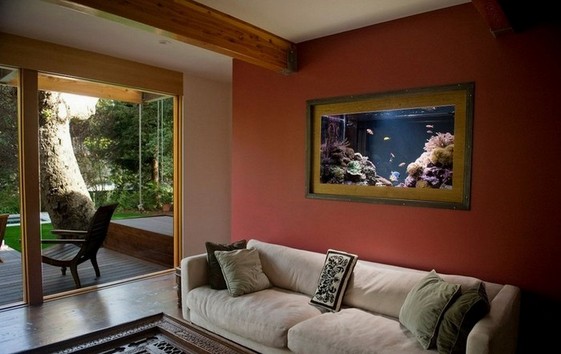 200 Gallon In Wall Aquarium