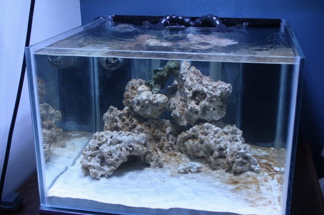 Rimless Aquarium Top