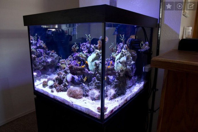 200 Gallon Cube Aquarium