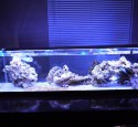 Rimless Long Aquarium