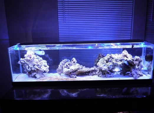 Rimless Long Aquarium