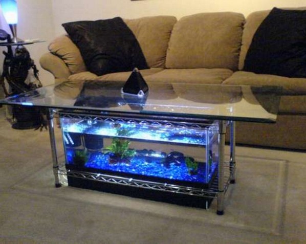 20 Gallon Long Acrylic Aquarium