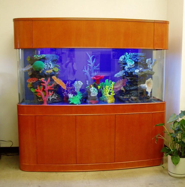200 Gallon All Glass Aquarium