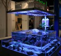 Design For Rimless Aquarium