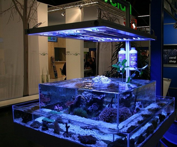 Design For Rimless Aquarium