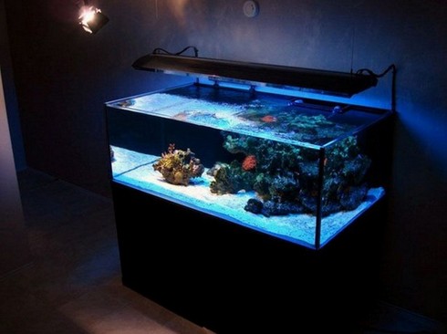 Japanese Rimless Aquarium