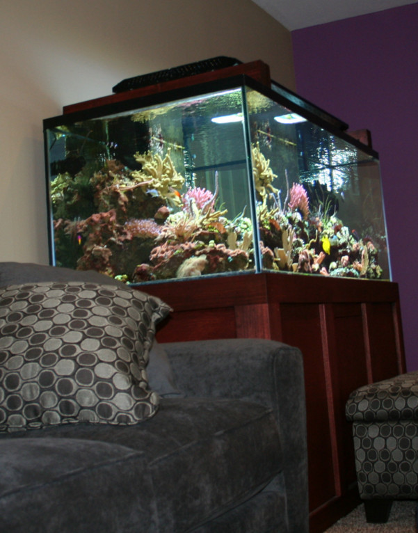 Led Lighting For 200 Gallon Aquarium