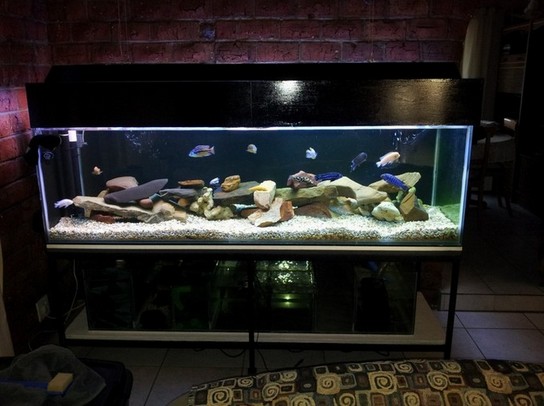 200 Gallon Aquarium Spec