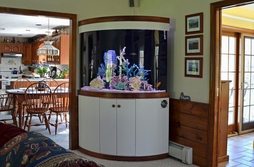 200 Gallon Aquarium Used