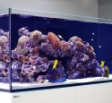 Rimless Aquarium Screen Top