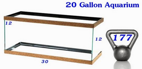 How Big Is A 20 Gallon Tank