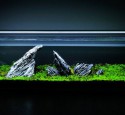 Rimless Aquarium Design