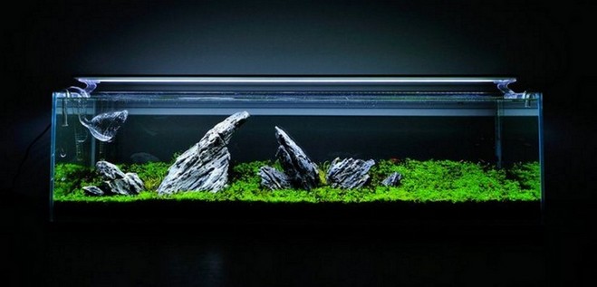 Rimless Aquarium Design