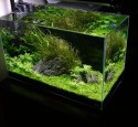 Rimless Aquarium Cover