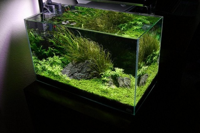 Rimless Aquarium Cover