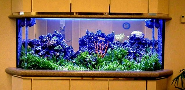 200 Gallon Aquarium Acrylic
