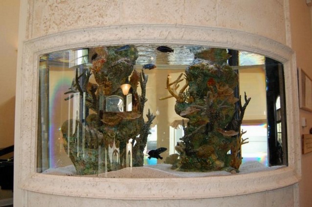 300 Gallon Aquarium In Apartment
