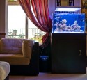 Rimless Aquarium Image