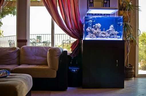 Rimless Aquarium Image