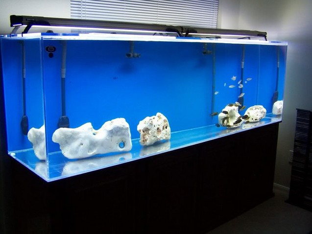300 Gallon Aquarium Acrylic