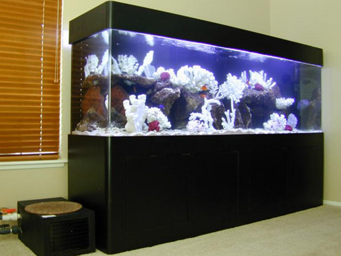 300 Gallon Aquarium With Stand