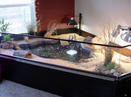 200 Gallon Aquarium For Turtles