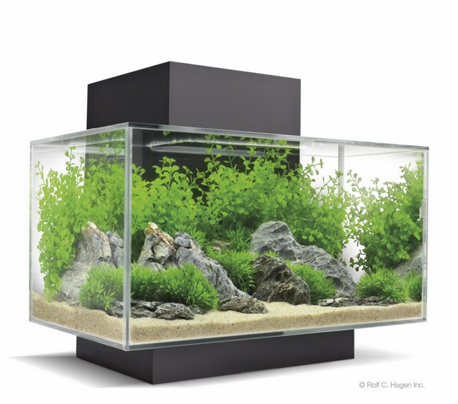 Aquarium 200 Gallon A Vendre
