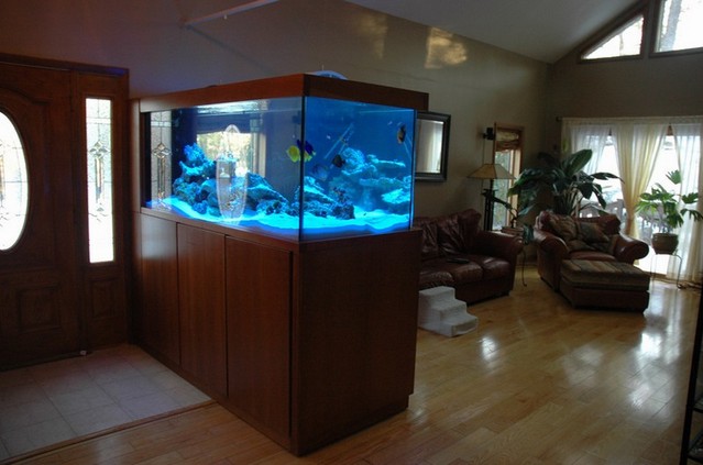 300 Gallon Aquarium Overflow
