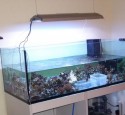 Blau Aquarium Rimless – Open Reef
