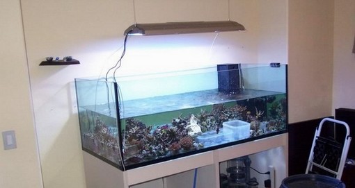 Blau Aquarium Rimless – Open Reef