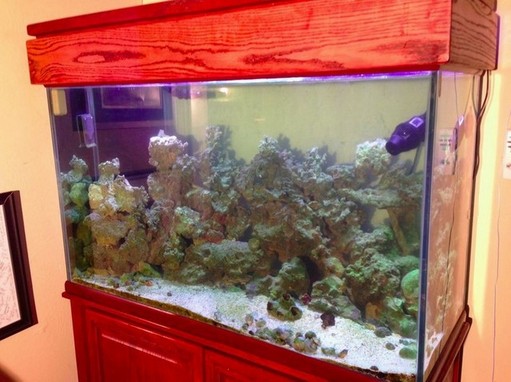 Tenecor 300 Gallon Aquarium