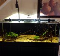 Rimless Aquarium Glass Top