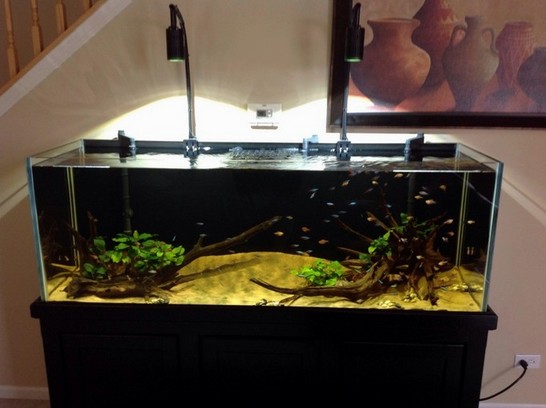 Rimless Aquarium Glass Top
