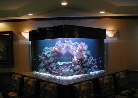 200 Gallon Glass Aquarium
