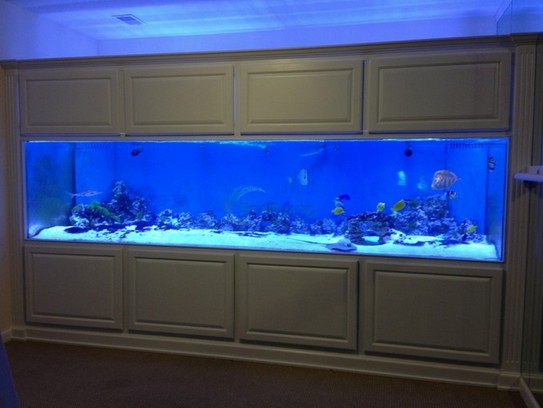 Marineland 300 Gallon Aquarium